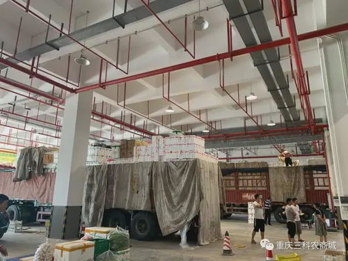 風(fēng)雨同舟,共抗疫情 三科農(nóng)商城為重慶抗疫助力，與大家共渡難關(guān)