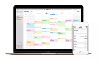 iCloud網(wǎng)頁版反垃圾功能上線 信息處理新里程，治標(biāo)更需治本